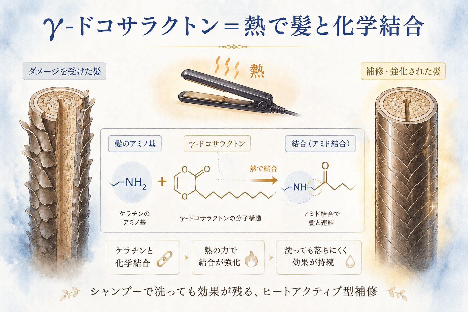 γ-ドコサラクトンが熱で髪と化学結合する仕組み