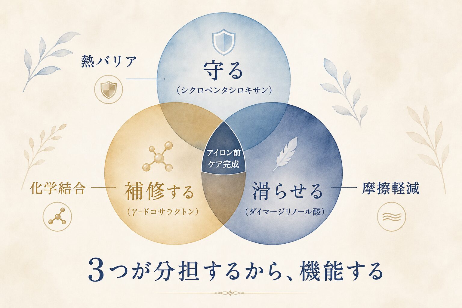 3成分のベン図_守る補修する滑らせる