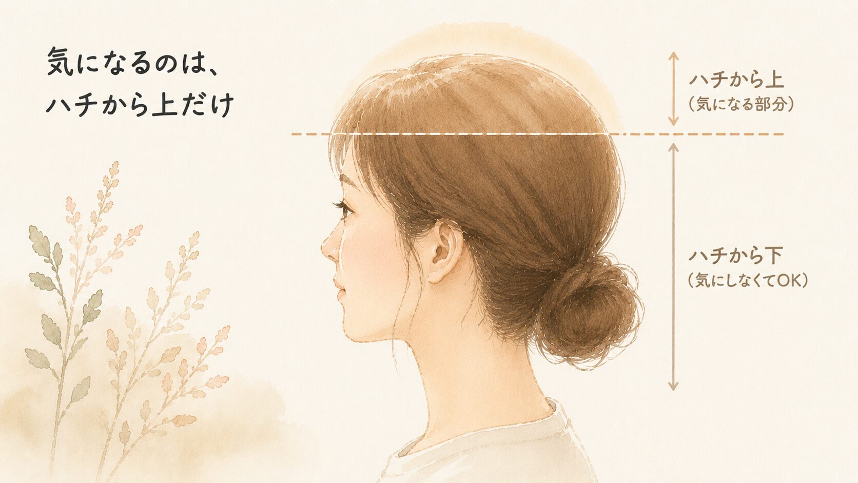 ハチ＝耳の少し上のラインを示した頭部イラスト